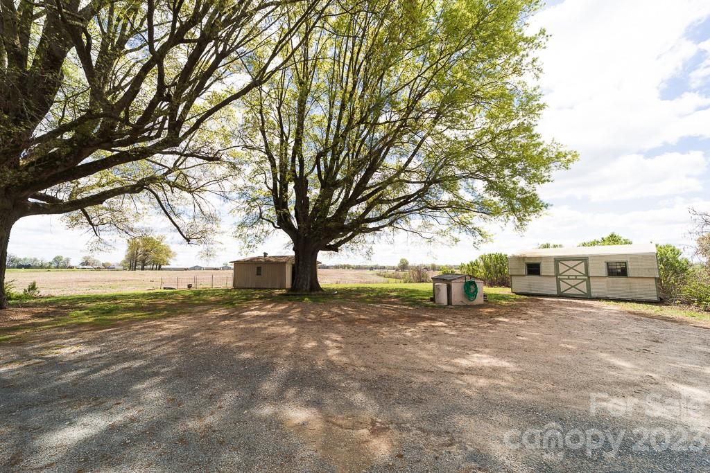 5204 Fish Road Marshville, NC 28103 - Photo 5 of 20 a view of a yard with trees