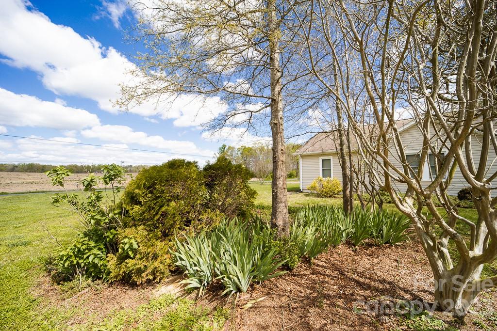 5204 Fish Road Marshville, NC 28103 - Photo 6 of 20 a view of a yard