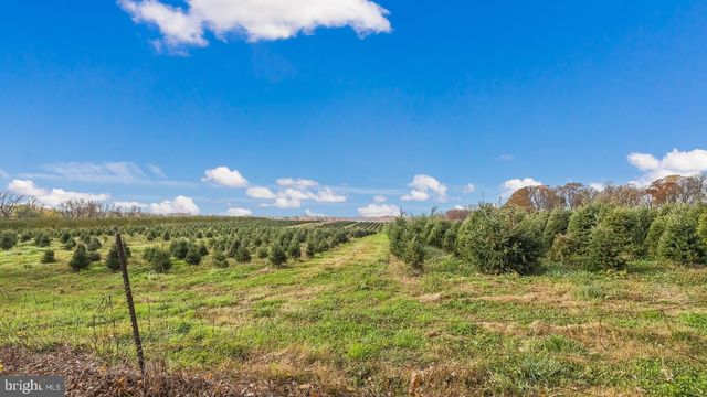 a view of a big yard