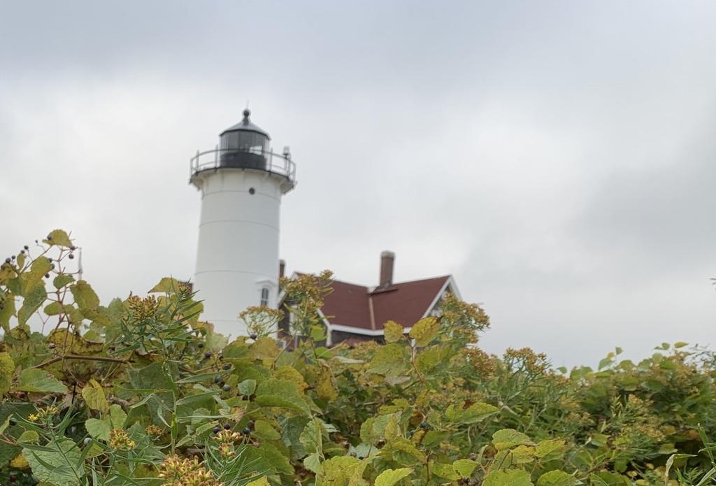 14 Lawrence Farm Road Woods Hole, MA 02543 - Photo 33 of 36 Nobska Light