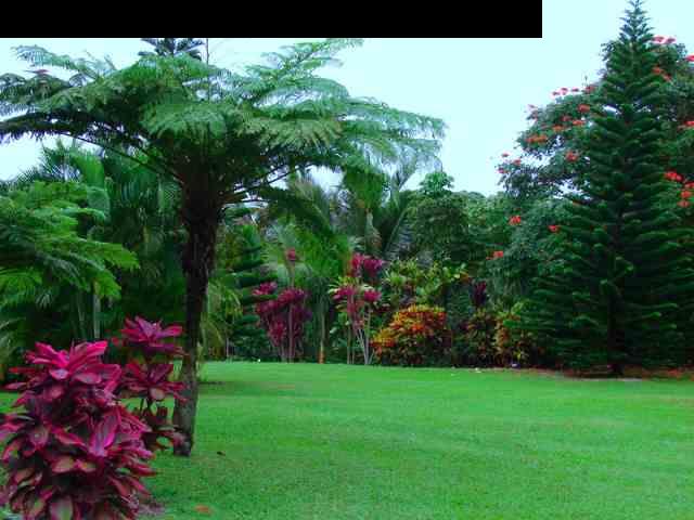 110 Maia Road Hana, HI 96713 - Photo 3 of 8 Gallery Image 3