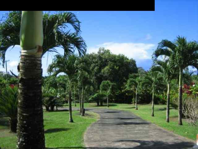 110 Maia Road Hana, HI 96713 - Photo 6 of 8 Gallery Image 6