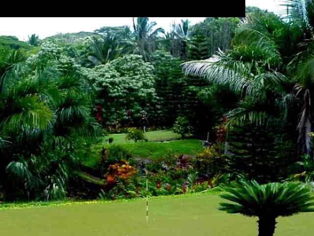 110 Maia Road Hana, HI 96713 - Photo 7 of 8 Gallery Image 7