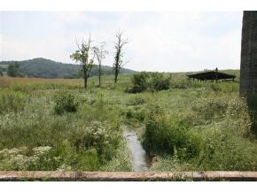 Lot 5 Jarrett Road, Unit 5 Limestone, TN 37681 - Photo 6 of 7 Photo 6