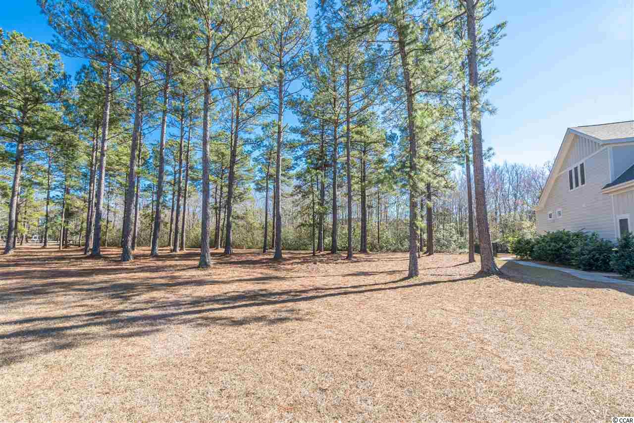 1218 Fiddlehead Way Myrtle Beach, SC 29579 - Photo 1 of 21 Gallery Image 1