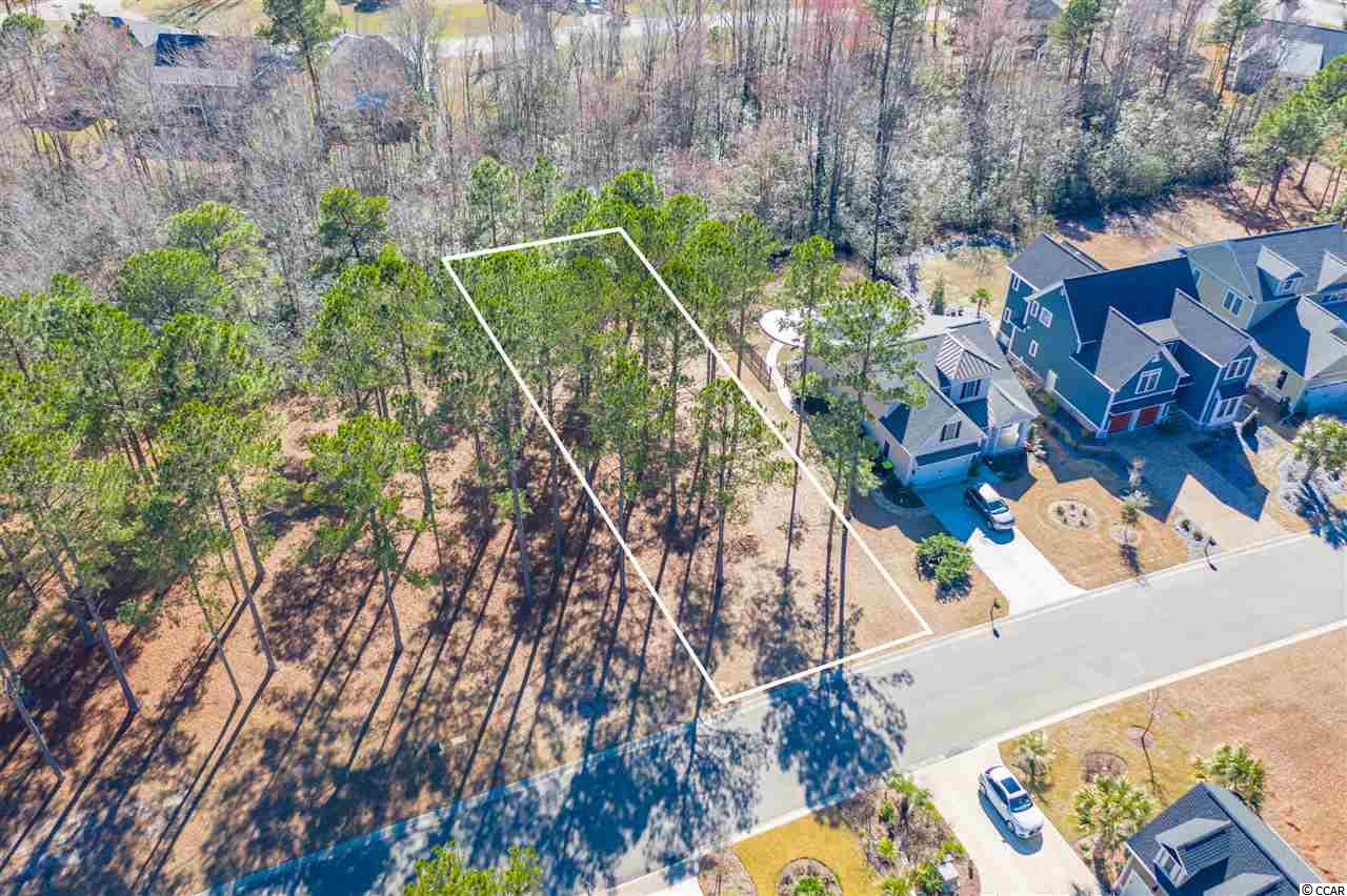 1218 Fiddlehead Way Myrtle Beach, SC 29579 - Photo 6 of 21 Gallery Image 6
