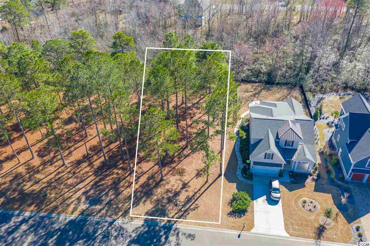 1218 Fiddlehead Way Myrtle Beach, SC 29579 - Photo 8 of 21 Gallery Image 8