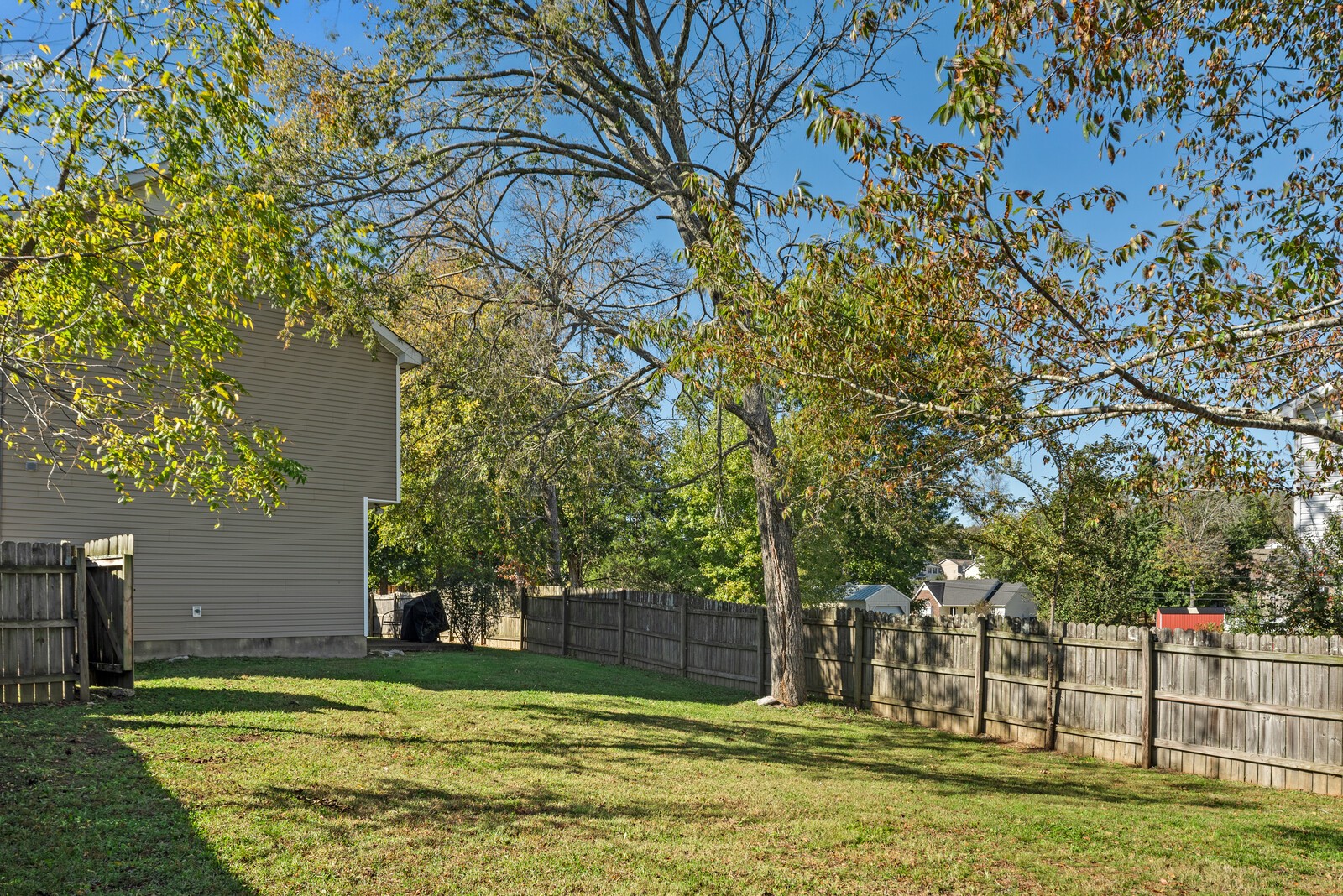1413 Fall Parkway Murfreesboro, TN 37129 - Photo 38 of 48 a view of a backyard with a large tree