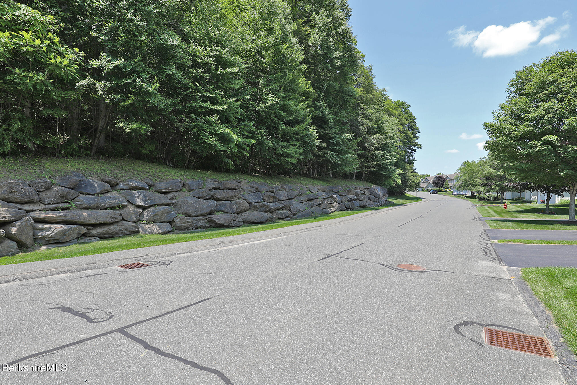 101 Alpine Trail Pittsfield, MA 01201 - Photo 40 of 43 VIEW ACROSS THE STREET