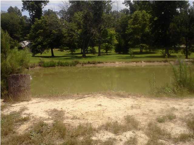 11247 McGhee Road Apison, TN 37302 - Photo 3 of 12 Additional Photo