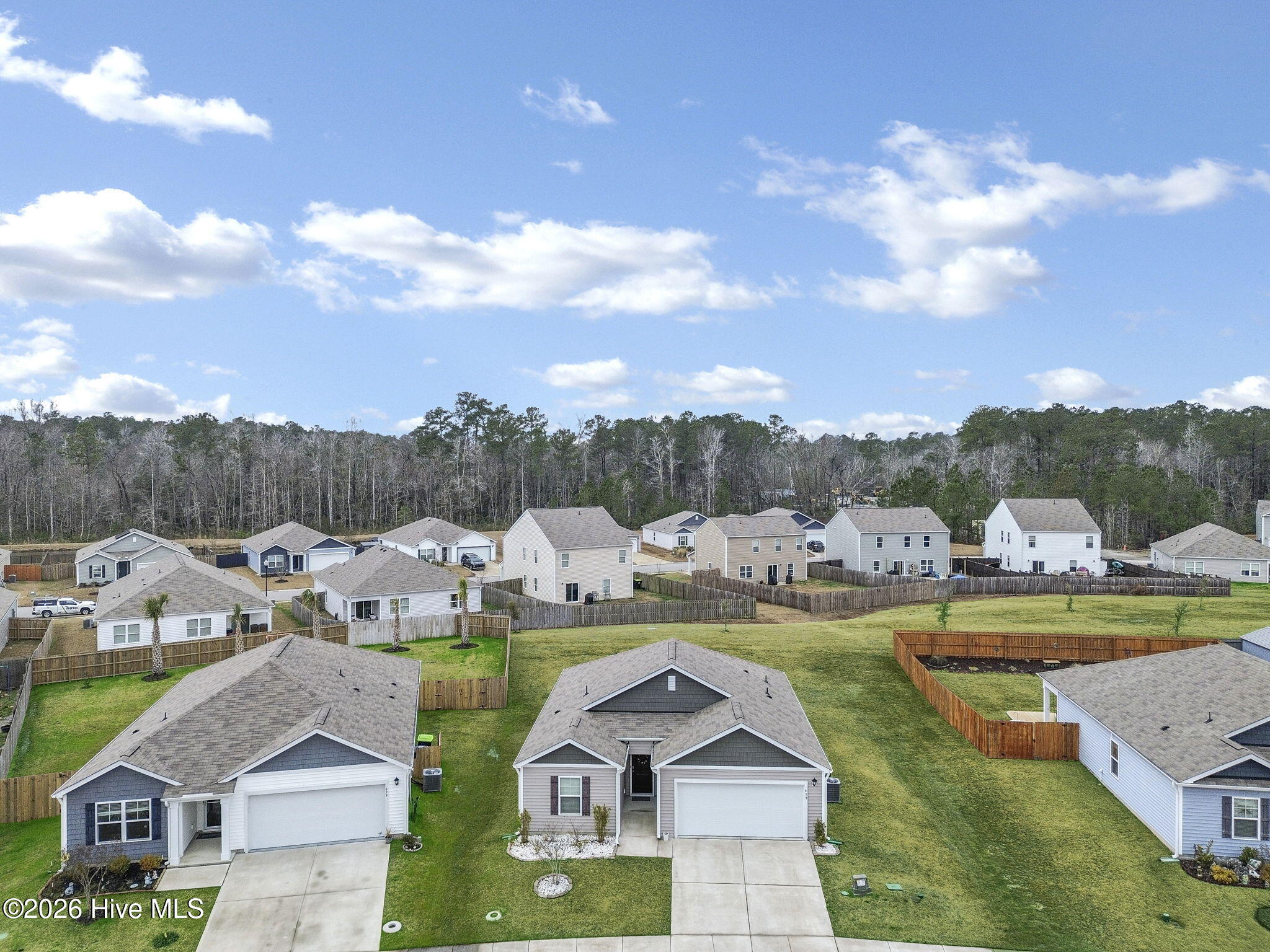699 Buckeye Road Northeast Leland, NC 28451 - Photo 29 of 42 36-web-or-mls-Front with grass (2)