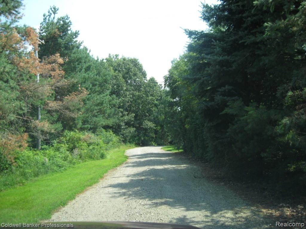 3917 Hosner Road Dryden, MI 48428 - Photo 40 of 43 Driveway as you enter off Hosner