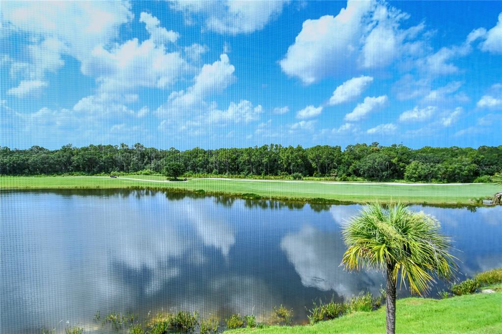 17520 Gawthrop Drive, Unit 401 Lakewood Ranch, FL 34211 - Photo 1 of 1 Serene View from Home