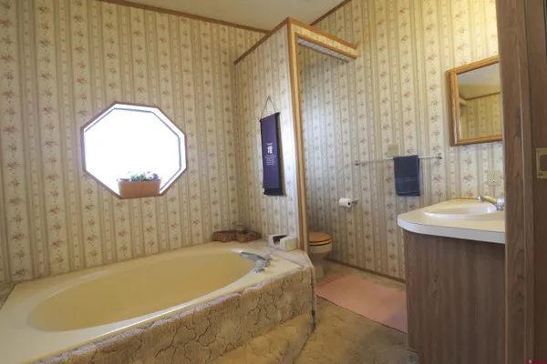 a bathroom with a tub a sink and a mirror