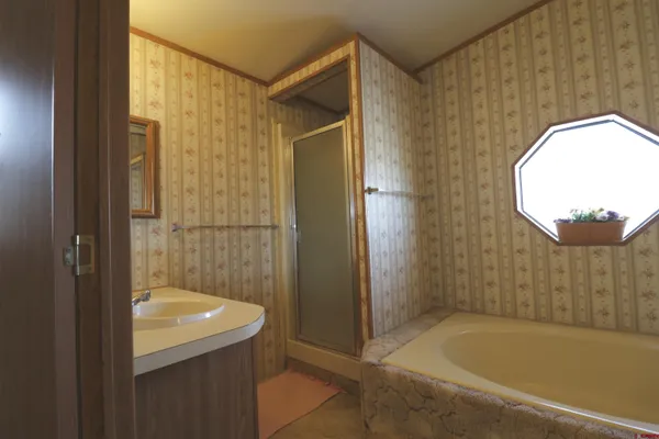 a bathroom with a sink and a shower
