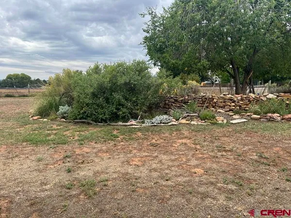 a view of a yard with a tree