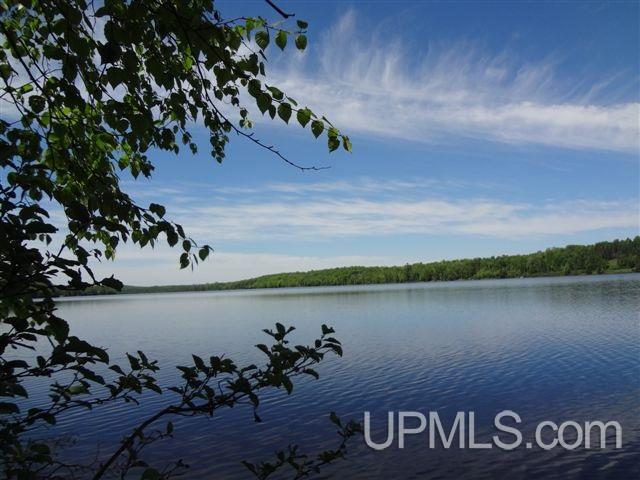 192 Tamarack Lake Road Iron River, MI 49935 - Photo 2 of 23
