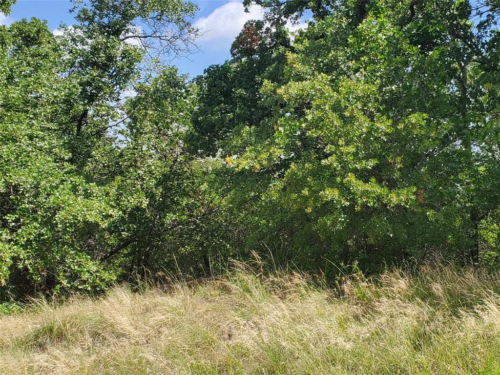 Lot 649 Horizon Ridge Sunset, TX 76270 - Photo 5 of 29 Gallery Image 5