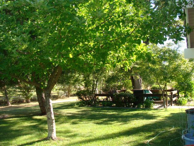 32044 Delaware Road Coarsegold, CA 93614 - Photo 3 of 23 Gallery Image 3