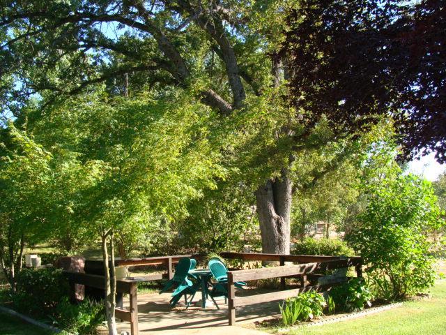 32044 Delaware Road Coarsegold, CA 93614 - Photo 4 of 23 Gallery Image 4