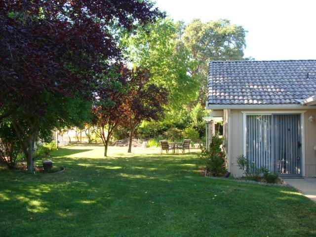 32044 Delaware Road Coarsegold, CA 93614 - Photo 5 of 23 Gallery Image 5