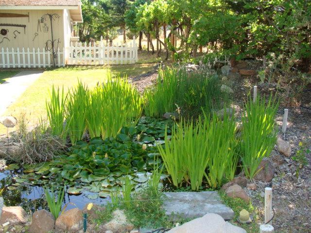 32044 Delaware Road Coarsegold, CA 93614 - Photo 7 of 23 Gallery Image 7