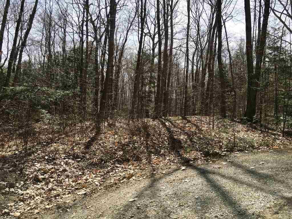 Lot 23 Franklin Road Salisbury, NH 03268 - Photo 11 of 23
