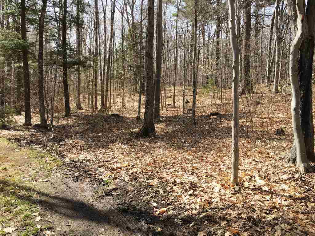 Lot 23 Franklin Road Salisbury, NH 03268 - Photo 14 of 23
