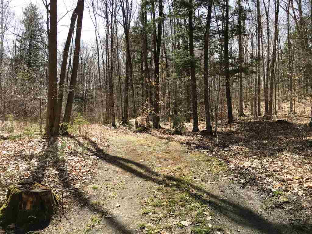 Lot 23 Franklin Road Salisbury, NH 03268 - Photo 15 of 23