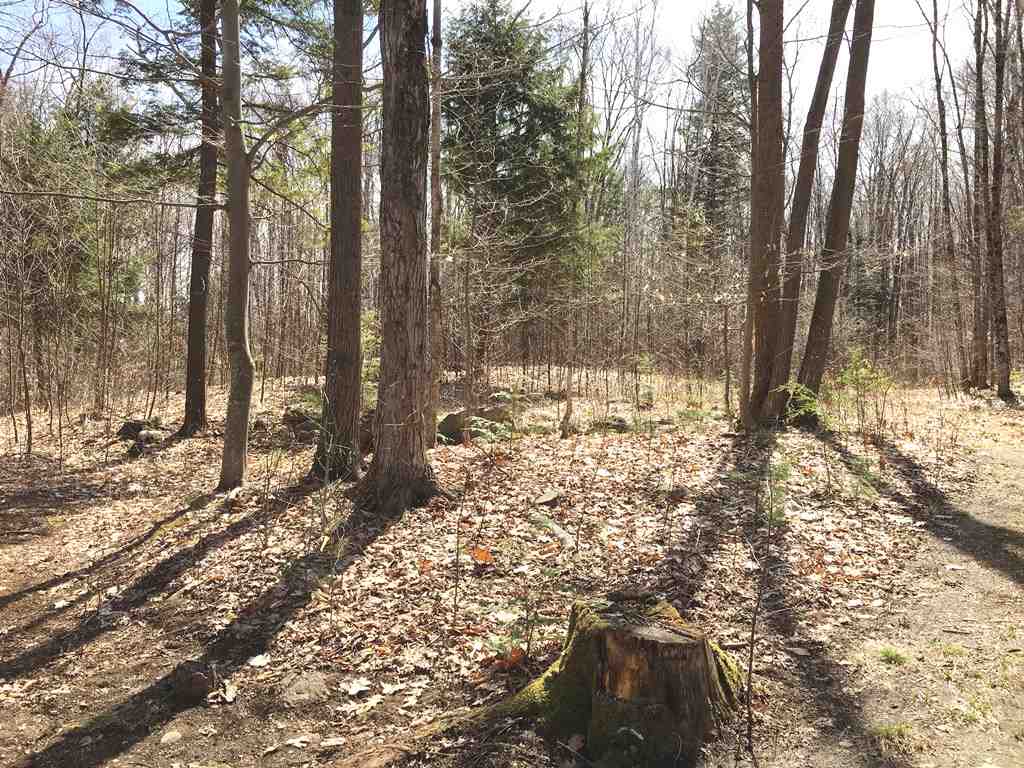 Lot 23 Franklin Road Salisbury, NH 03268 - Photo 16 of 23