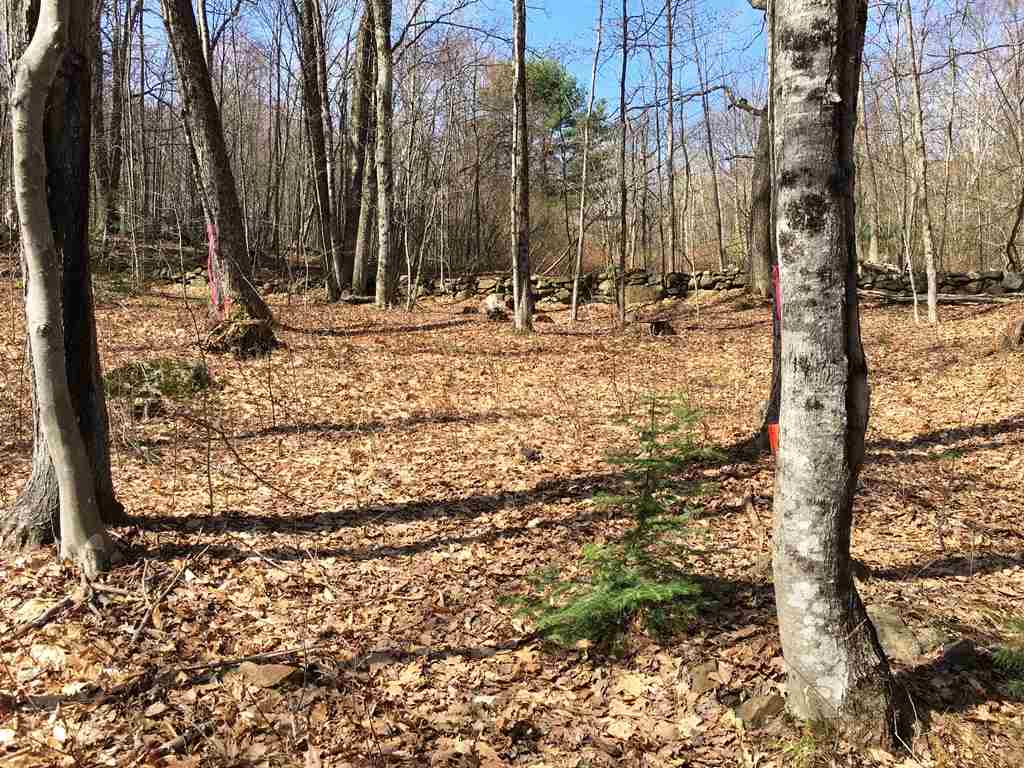Lot 23 Franklin Road Salisbury, NH 03268 - Photo 17 of 23