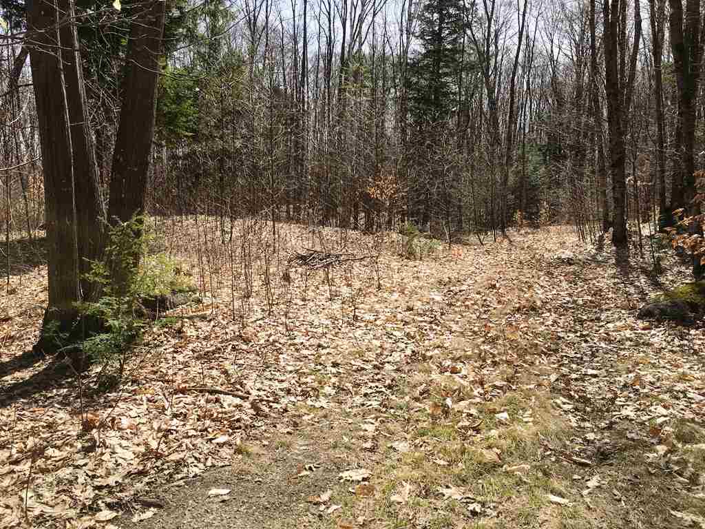 Lot 23 Franklin Road Salisbury, NH 03268 - Photo 18 of 23