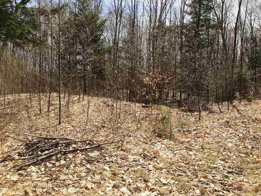Lot 23 Franklin Road Salisbury, NH 03268 - Photo 19 of 23