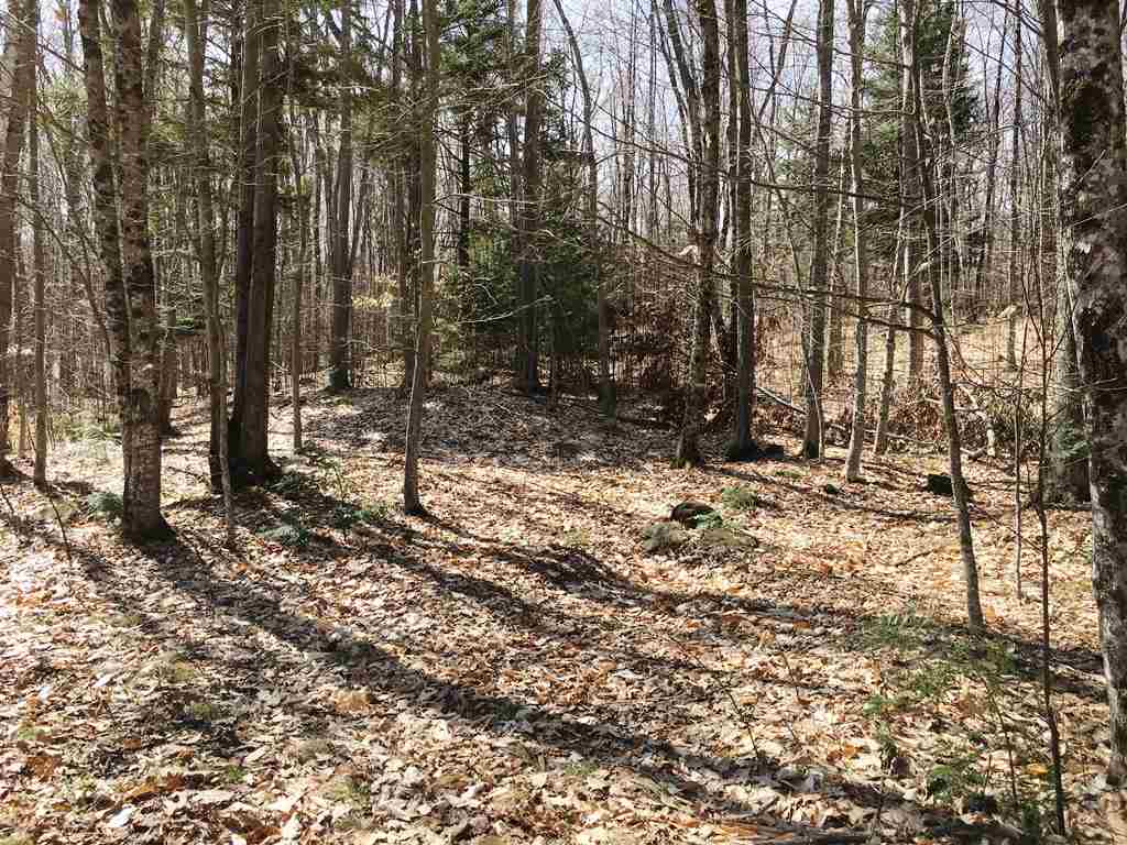 Lot 23 Franklin Road Salisbury, NH 03268 - Photo 20 of 23
