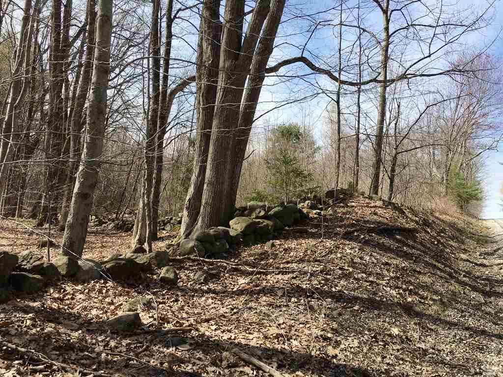 Lot 23 Franklin Road Salisbury, NH 03268 - Photo 3 of 23