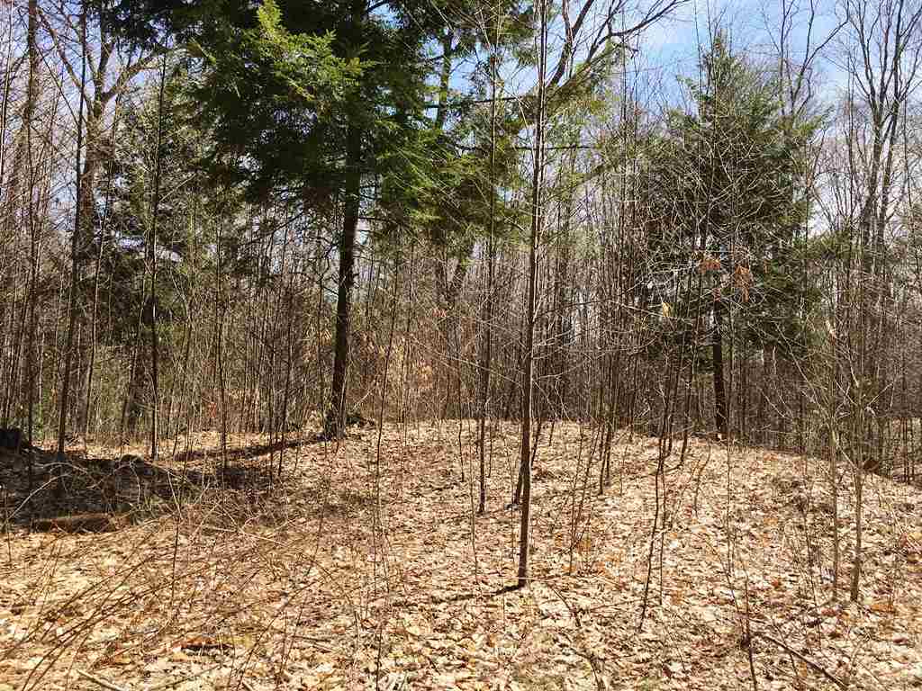 Lot 23 Franklin Road Salisbury, NH 03268 - Photo 21 of 23