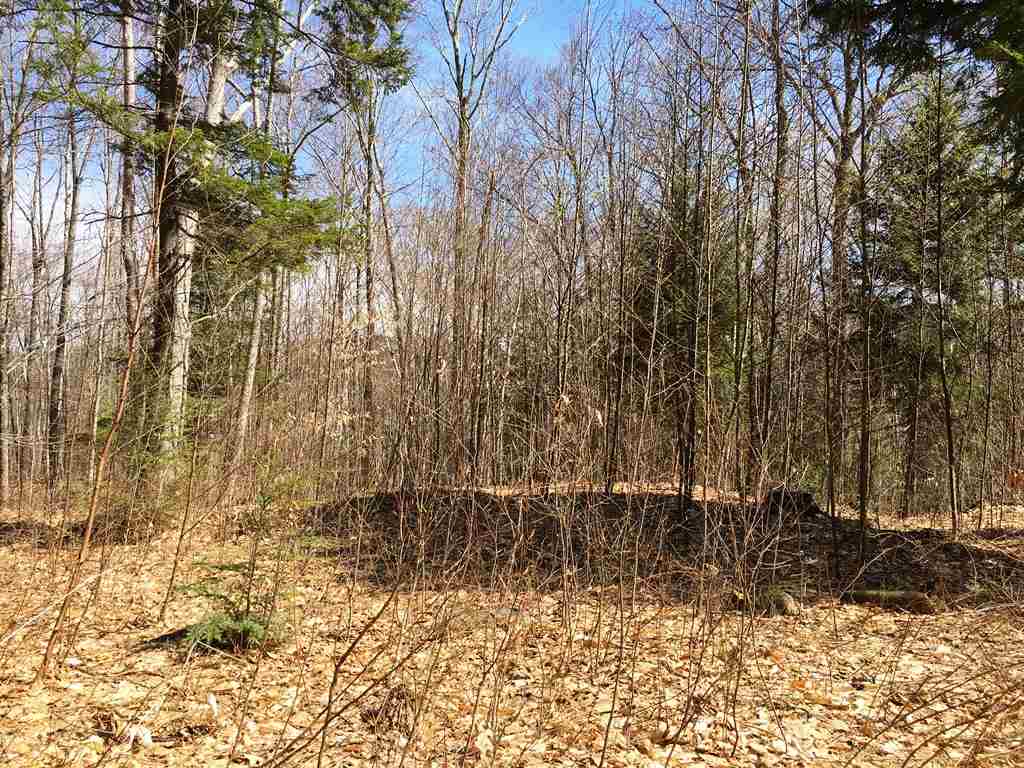 Lot 23 Franklin Road Salisbury, NH 03268 - Photo 22 of 23