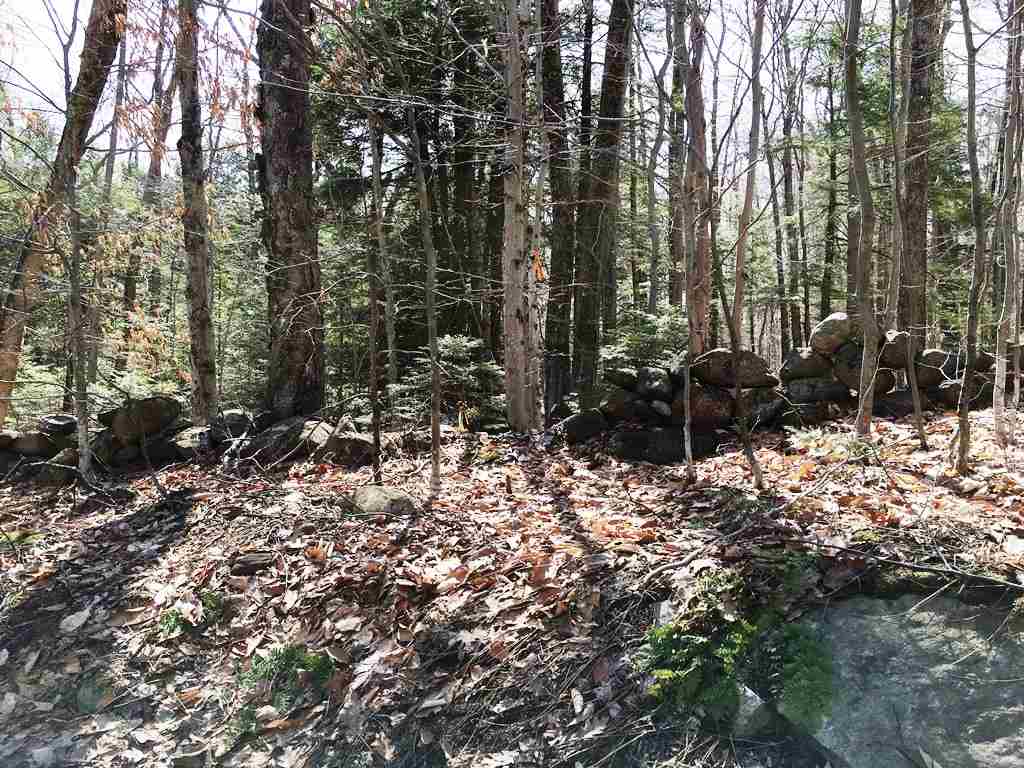Lot 23 Franklin Road Salisbury, NH 03268 - Photo 7 of 23
