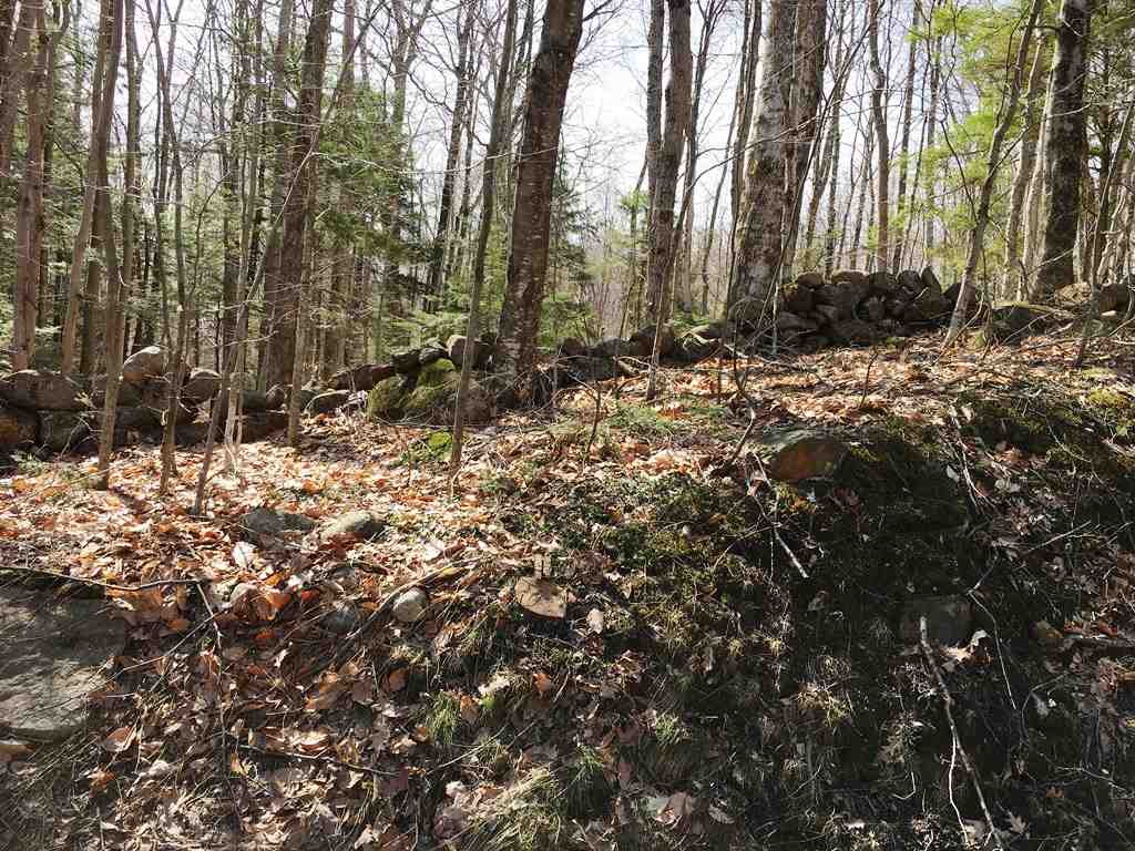 Lot 23 Franklin Road Salisbury, NH 03268 - Photo 8 of 23