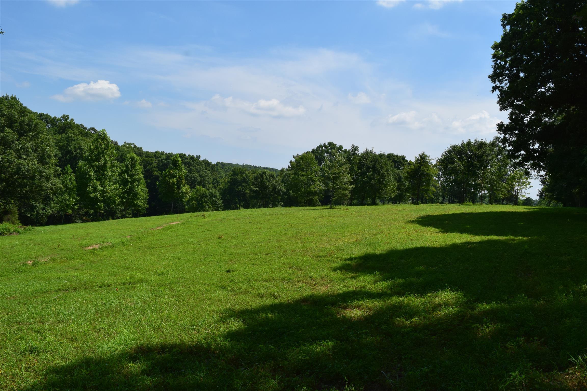 5816 Green Chapel Road Franklin, TN 37064 - Photo 2 of 6 Gallery Image 2