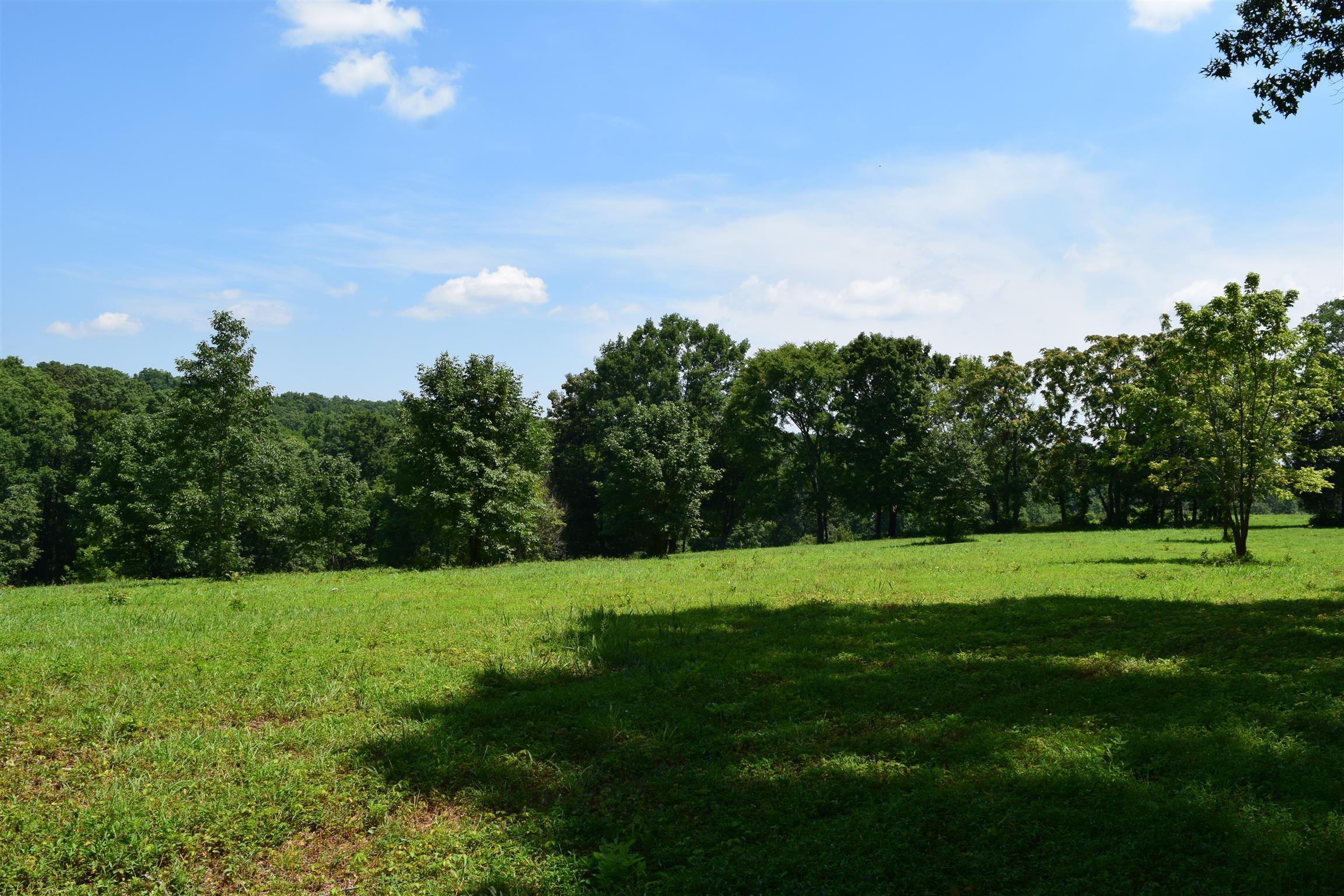 5816 Green Chapel Road Franklin, TN 37064 - Photo 3 of 6 Gallery Image 3