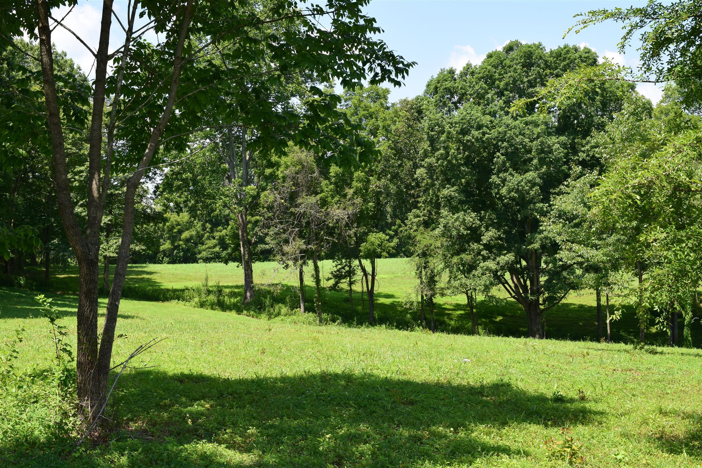 5816 Green Chapel Road Franklin, TN 37064 - Photo 4 of 6 Gallery Image 4