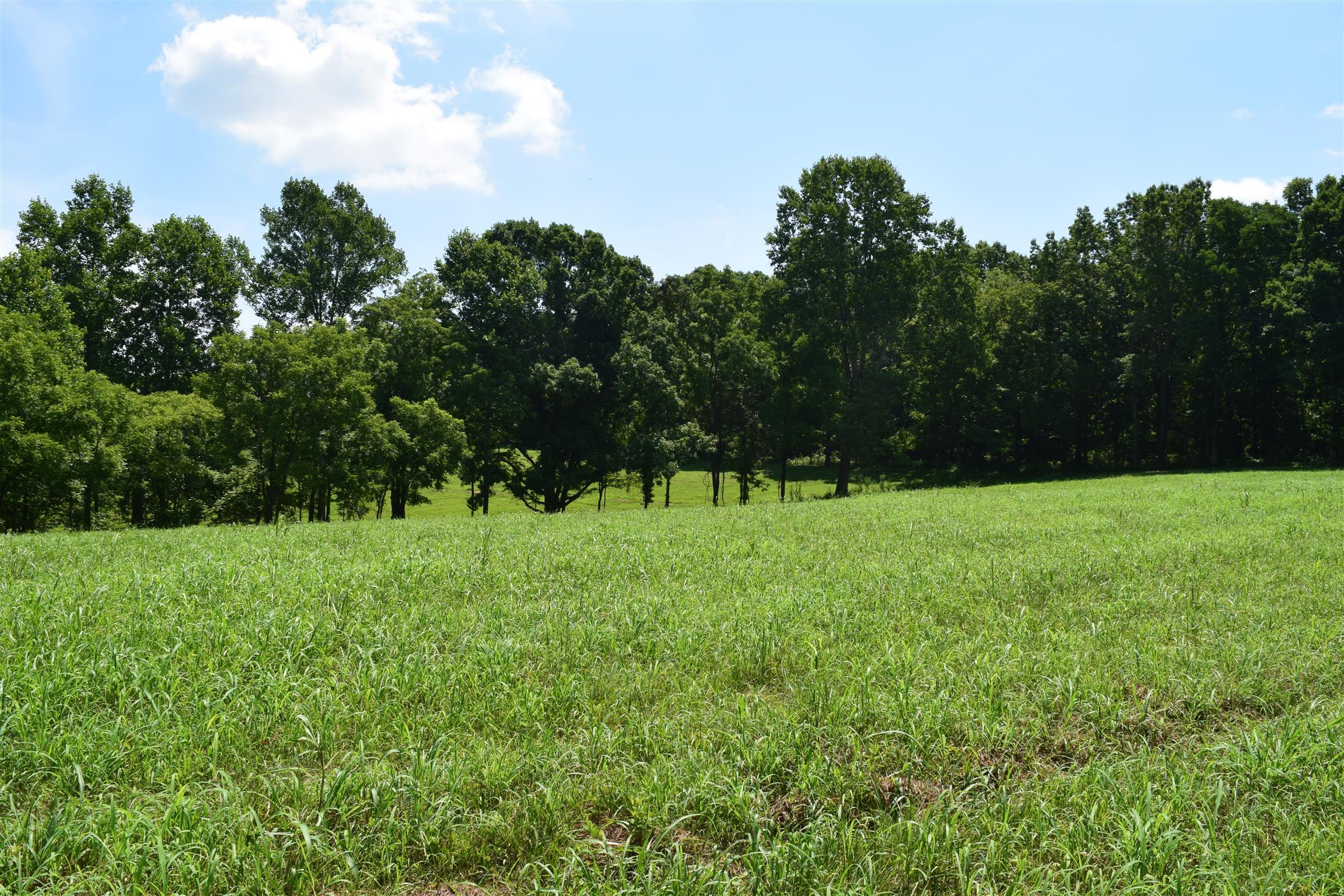 5816 Green Chapel Road Franklin, TN 37064 - Photo 5 of 6 Gallery Image 5