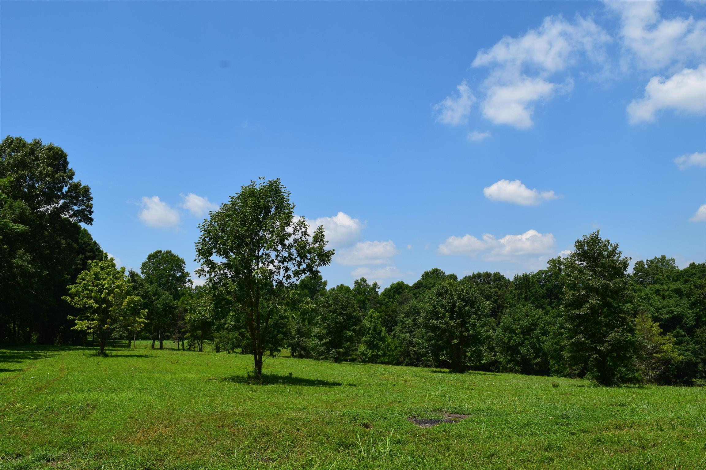 5816 Green Chapel Road Franklin, TN 37064 - Photo 6 of 6 Gallery Image 6