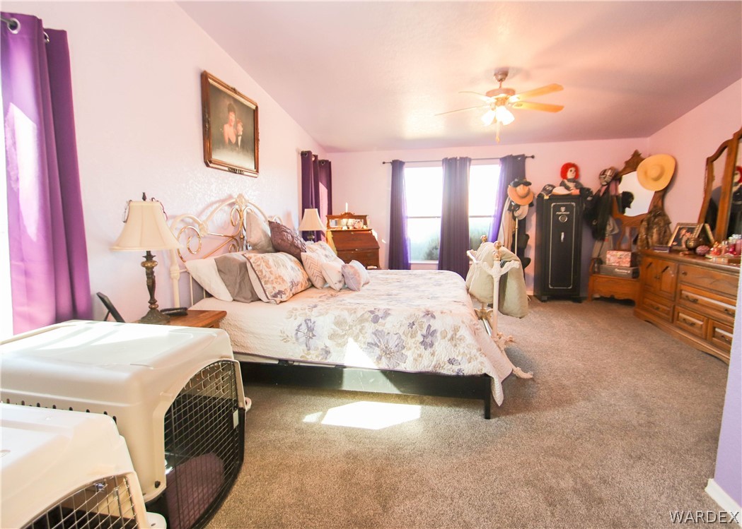 3756 Elfrida Road Golden Valley, AZ 86413 - Photo 43 of 50