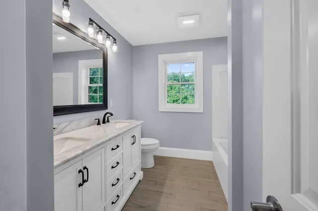 a bathroom with a double vanity sink a mirror and a toilet