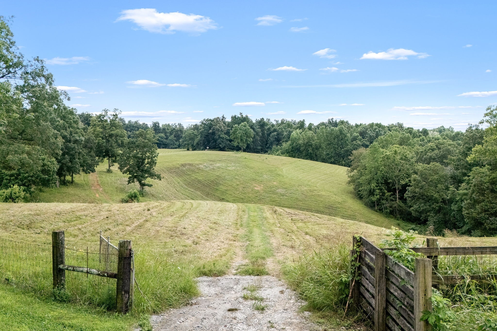 540 Powell Hollow Road Tullahoma, TN 37388 - Photo 5 of 99 Gallery Image 5