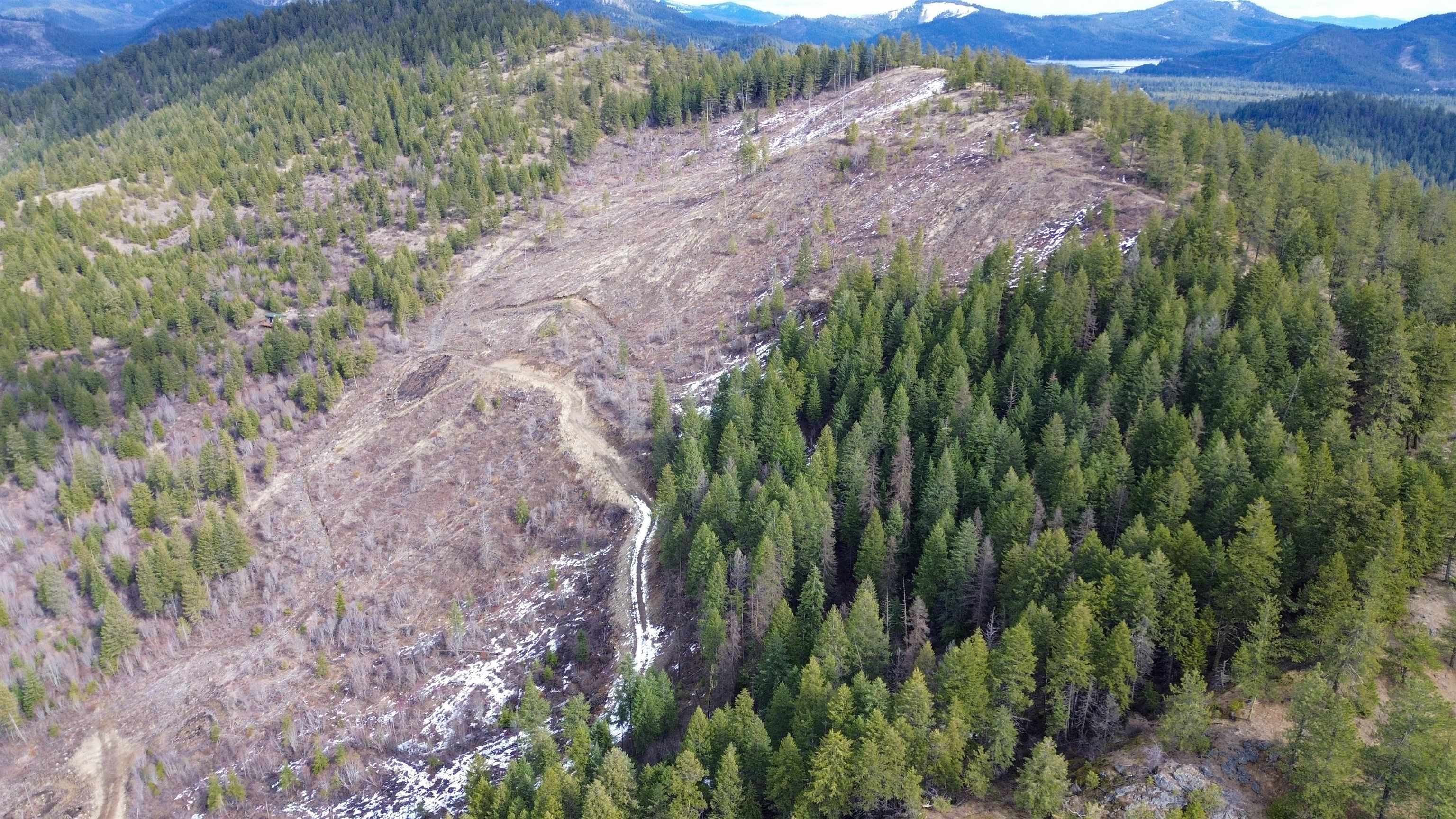 352 X Green Road Valley, WA 99181 - Photo 28 of 32