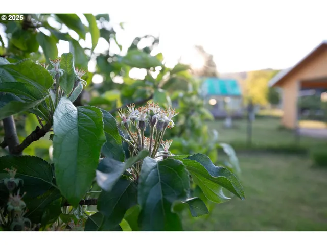 $625,000 | 205 Fair Oaks Road, Oakland, OR 97462