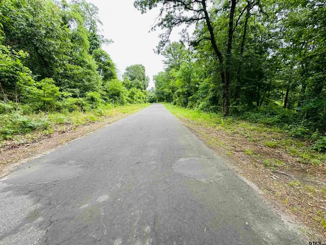 a view of a road with plants and large trees